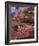 Spring in Portland-Ike Leahy-Framed Photo