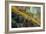 Spring in the Canyon-Vincent James-Framed Photographic Print