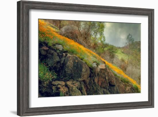 Spring in the Canyon-Vincent James-Framed Photographic Print