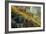 Spring in the Canyon-Vincent James-Framed Photographic Print