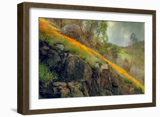 Spring in the Canyon-Vincent James-Framed Photographic Print