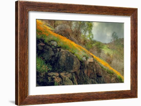 Spring in the Canyon-Vincent James-Framed Photographic Print