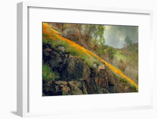 Spring in the Canyon-Vincent James-Framed Photographic Print