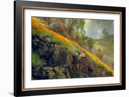 Spring in the Canyon-Vincent James-Framed Photographic Print