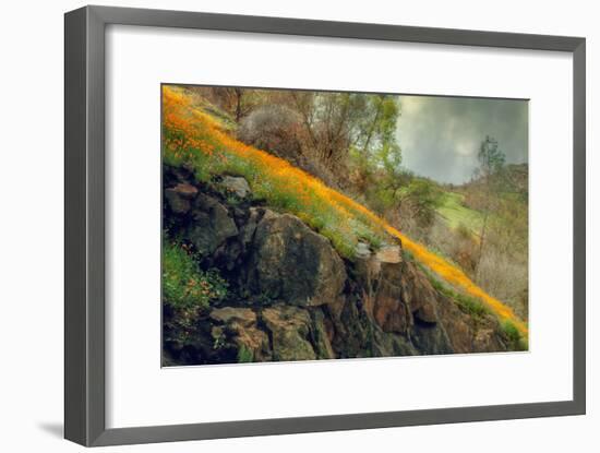 Spring in the Canyon-Vincent James-Framed Photographic Print