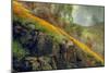 Spring in the Canyon-Vincent James-Mounted Photographic Print