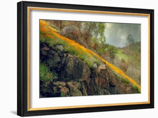 Spring in the Canyon-Vincent James-Framed Photographic Print