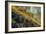 Spring in the Canyon-Vincent James-Framed Photographic Print