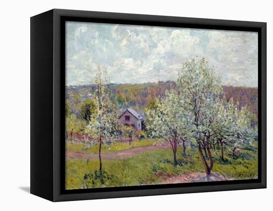 Spring in the Environs of Paris, Apple Blossom, 1879-Alfred Sisley-Framed Premier Image Canvas