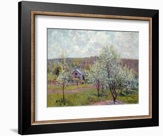 Spring in the Environs of Paris, Apple Blossom, 1879-Alfred Sisley-Framed Premium Giclee Print