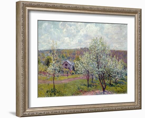 Spring in the Environs of Paris, Apple Blossom, 1879-Alfred Sisley-Framed Giclee Print