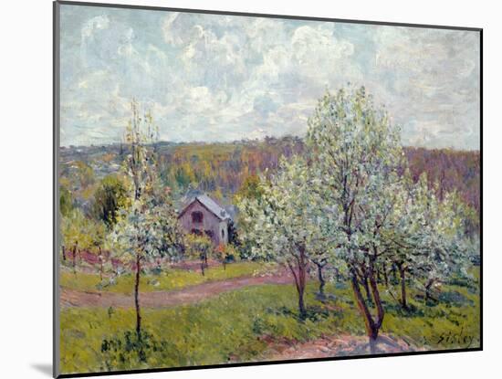 Spring in the Environs of Paris, Apple Blossom, 1879-Alfred Sisley-Mounted Giclee Print