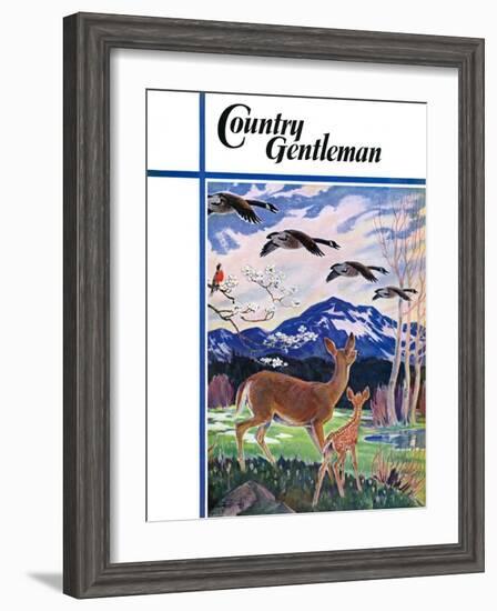 "Spring in the Meadow," Country Gentleman Cover, March 1, 1938-Paul Bransom-Framed Giclee Print