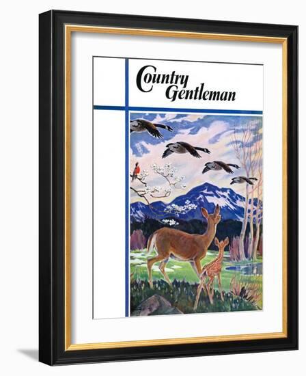 "Spring in the Meadow," Country Gentleman Cover, March 1, 1938-Paul Bransom-Framed Giclee Print