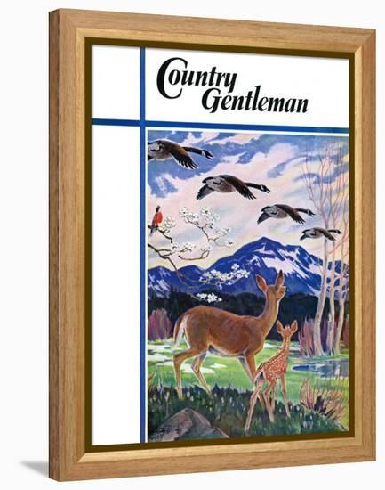 "Spring in the Meadow," Country Gentleman Cover, March 1, 1938-Paul Bransom-Framed Premier Image Canvas