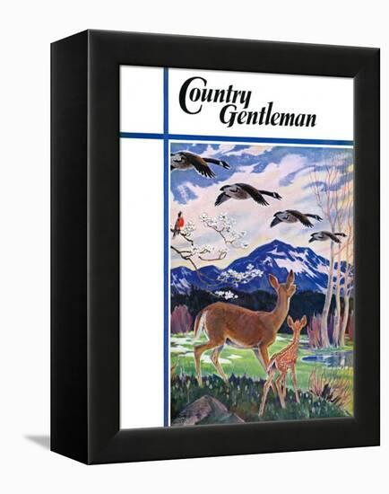 "Spring in the Meadow," Country Gentleman Cover, March 1, 1938-Paul Bransom-Framed Premier Image Canvas