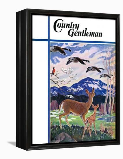 "Spring in the Meadow," Country Gentleman Cover, March 1, 1938-Paul Bransom-Framed Premier Image Canvas