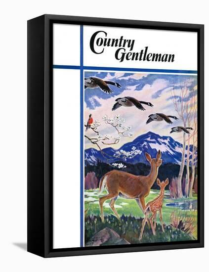 "Spring in the Meadow," Country Gentleman Cover, March 1, 1938-Paul Bransom-Framed Premier Image Canvas