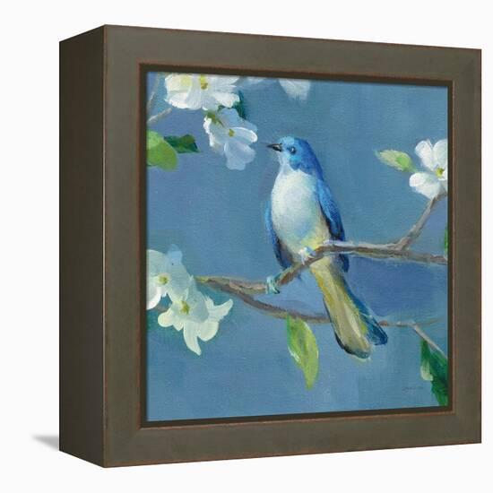 Spring in the Neighborhood III-Danhui Nai-Framed Stretched Canvas