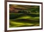 Spring in the Palouse-Lydia Jacobs-Framed Photographic Print