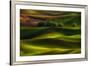 Spring in the Palouse-Lydia Jacobs-Framed Photographic Print