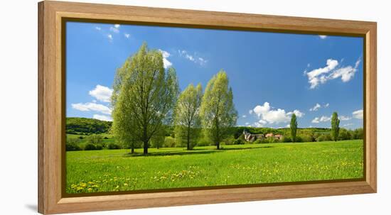 Spring in the Unstruttal, Poplars on Meadow with Dandelion, Near Freyburg-Andreas Vitting-Framed Premier Image Canvas