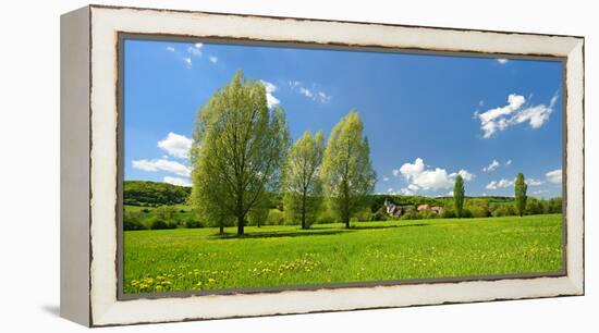 Spring in the Unstruttal, Poplars on Meadow with Dandelion, Near Freyburg-Andreas Vitting-Framed Premier Image Canvas