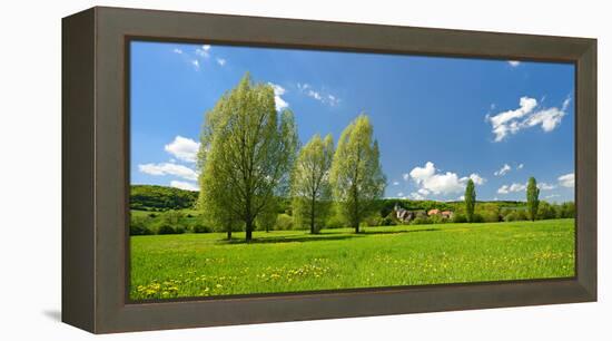 Spring in the Unstruttal, Poplars on Meadow with Dandelion, Near Freyburg-Andreas Vitting-Framed Premier Image Canvas