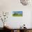 Spring in the Unstruttal, Poplars on Meadow with Dandelion, Near Freyburg-Andreas Vitting-Photographic Print displayed on a wall