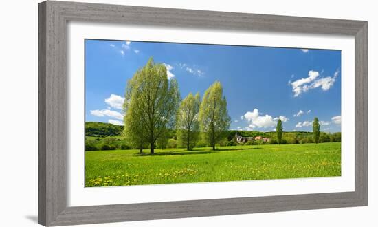 Spring in the Unstruttal, Poplars on Meadow with Dandelion, Near Freyburg-Andreas Vitting-Framed Photographic Print