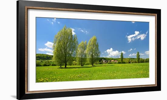 Spring in the Unstruttal, Poplars on Meadow with Dandelion, Near Freyburg-Andreas Vitting-Framed Photographic Print