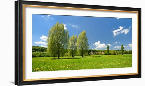 Spring in the Unstruttal, Poplars on Meadow with Dandelion, Near Freyburg-Andreas Vitting-Framed Photographic Print