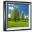 Spring in the Unstruttal, Trees on Meadow with Dandelion, Near Freyburg, Saxony-Anhalt, Germany-Andreas Vitting-Framed Photographic Print