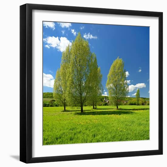 Spring in the Unstruttal, Trees on Meadow with Dandelion, Near Freyburg, Saxony-Anhalt, Germany-Andreas Vitting-Framed Photographic Print