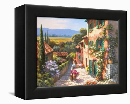 Spring in the Valley-Sung Kim-Framed Stretched Canvas