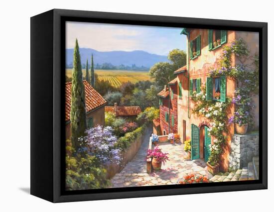 Spring in the Valley-Sung Kim-Framed Stretched Canvas