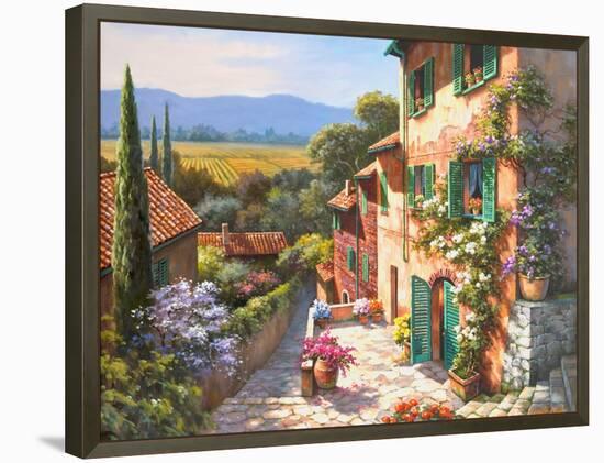 Spring in the Valley-Sung Kim-Framed Stretched Canvas