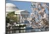 Spring in Washington DC - Cherry Blossom Festival at Jefferson Memorial-Orhan-Mounted Photographic Print