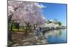 Spring in Washington DC - Cherry Blossom Festival at Jefferson Memorial-Orhan-Mounted Photographic Print