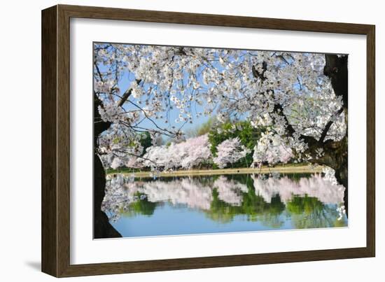 Spring in Washington DC - Cherry Blossom Festival at Tidal Basin-Orhan-Framed Photographic Print