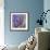 Spring Iris Garden-Bill Jackson-Framed Giclee Print displayed on a wall