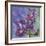 Spring Iris Garden-Bill Jackson-Framed Giclee Print
