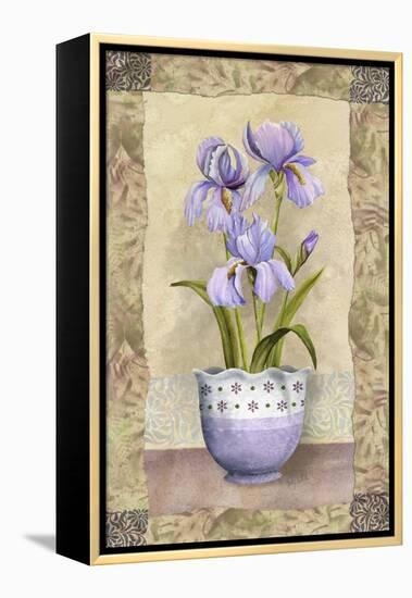 Spring Iris-Abby White-Framed Stretched Canvas