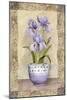 Spring Iris-Abby White-Mounted Art Print