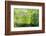 Spring is here-Heidi Westum-Framed Photographic Print