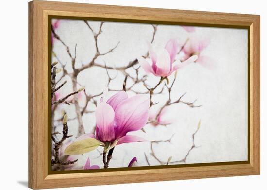 Spring is In the Air I-Elizabeth Urquhart-Framed Stretched Canvas