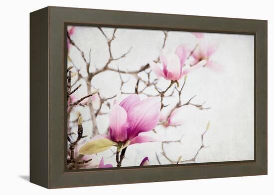 Spring is In the Air I-Elizabeth Urquhart-Framed Stretched Canvas