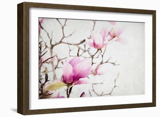 Spring is In the Air I-Elizabeth Urquhart-Framed Photographic Print