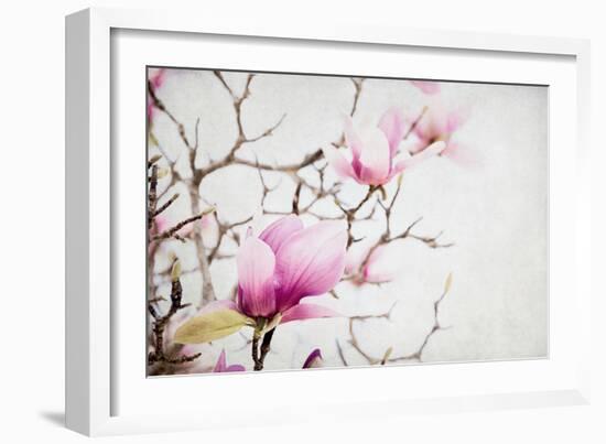 Spring is In the Air I-Elizabeth Urquhart-Framed Photographic Print