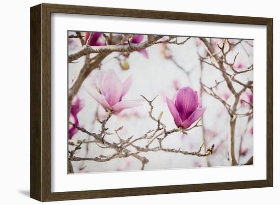 Spring is In the Air II-Elizabeth Urquhart-Framed Photo